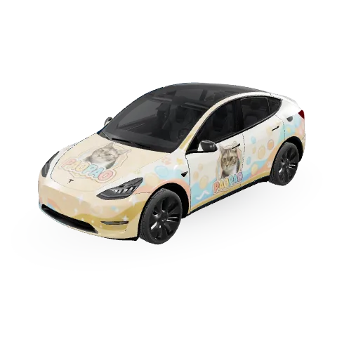 KJN PAO PAO | Tesla Wrap Gallery